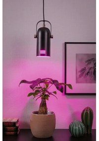 Paulmann 79766 - LED RGBW 1xE27/15W kábeles csillár LAVEA 230V fekete