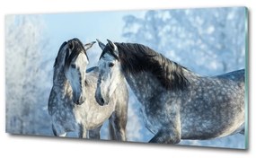 Üvegkép Szürke ló télen osh-116887257