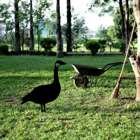 Goose fém kerti dísztárgy, 64×44 cm – TR565TNL1264