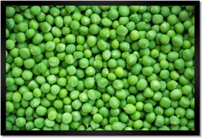 Poszter keretben 60x40 Zöldborsó