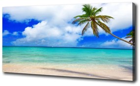Feszített vászonkép Karibi tengerparton oc-143577240