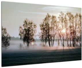 Kép - reggeli szárazság (90x60 cm)