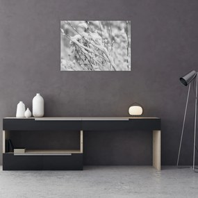 Kép - Havas ágak (70x50 cm)