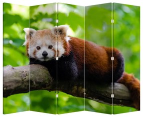 Paraván - Vörös panda (210x170 cm)
