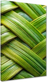 Vászonkép 60x90 Zöld fonott Zöld rattan fonott lemez