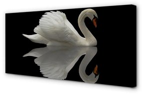 Canvas képek Swan az éjszaka 125x50 cm