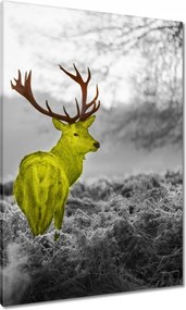 Vászonkép 70x100 Sárga szarvas Erdő Tájkép