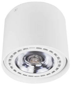 PALNAS-61003283 LARS Fehér színű Mennyezeti lámpa 1xGU10 20W IP20