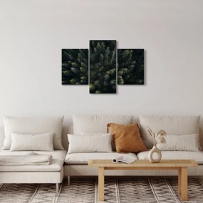 Kép - Forest (90x60 cm)