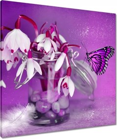 Vászonkép 60x60 Hóvirág és pillangó