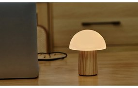 Natúr színű szabályozható asztali lámpa üveg búrával (magasság 13 cm) Alice – Gingko