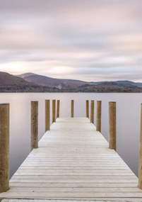 Poszter 21x29,7cm, Assaf Frank