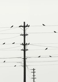 Poszter 42x59,4cm Szimfónia a dróton