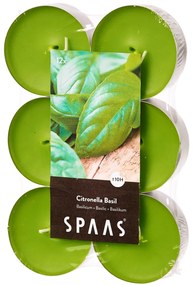 SPAAS MAXI 12db citronella/bazsalikom illatú tealámpa 12db