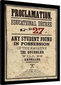 Keretezett poszter Harry Potter - Educational Decree No. 27