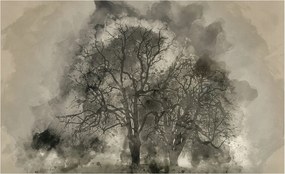 Fali fotótapéta előszoba konyhába Rejtélyes fák 416x254 Ragasztó