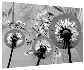Fekete fehér kép -pitypang (90x60 cm)