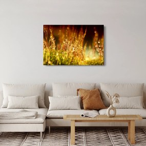 Kép - Harmat részlete (90x60 cm)
