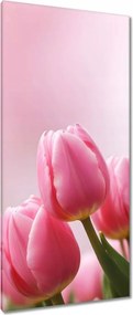 Vászonkép 55x115 Rózsaszín tulipánok