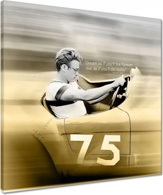 Vászonkép 50x50 James Dean az autóban