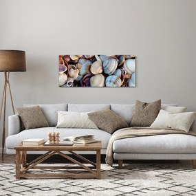 Kagyló képe (120x50 cm)