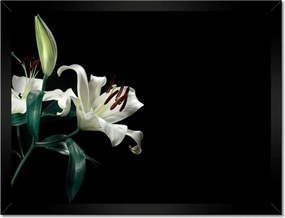 Poszterek keretben 40x30 Gyönyörű fehér liliom