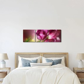 Rózsaszín tulipánok képe (órával) (90x30 cm)