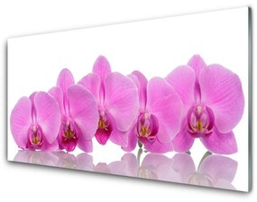 Akrilüveg fotó Rózsaszín orchidea virágok 100x50 cm 2 fogas