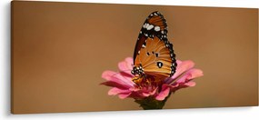 Pillangó képe a virágon (120x50 cm)