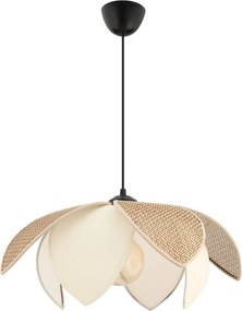 Peony Hazeran - Brown, Cream