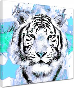 Vászonkép 30x30 Tigris csillag türkiz