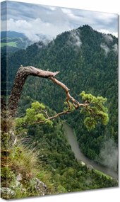 Festmények 20x30 Tájkép Sólyomkő