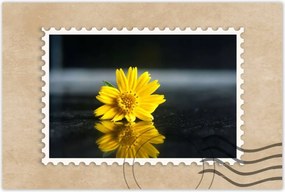 Poszter 60x40 Sárga virág