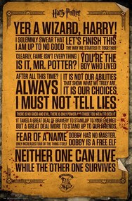 Plakát Harry Potter - Quotes, (61 x 91.5 cm)