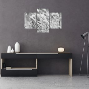 Kép - Havas ágak (90x60 cm)