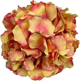 Hortenzia nagy fej 21 cm barackszínű