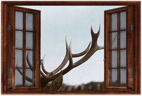 Poszterek 120x80 Szarvas felszarvazott