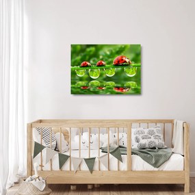 Üveg kép - A hét nap napfénye (70x50 cm)