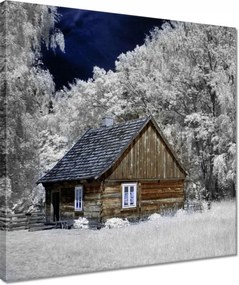 Vászonkép 40x40 Rönkház