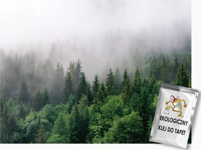 FotĂłtapĂ©ta Flizelina TĂĄjkĂ©p KilĂĄtĂĄs TermĂ©szet Hegyek ErdĆ FĂĄk Köd 150x105 ragasztĂł