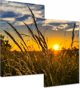 Vászonkép 60x60 Naplemente a füvek között