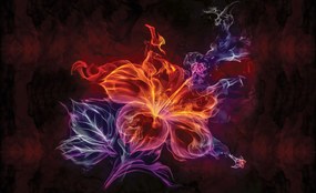 Fotótapéta Virágos Ragyogás Absztrakt Fény és Árnyék Akcentus 200x140 +ragasztó