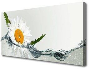 Vászonkép falra Daisy vízinövény 125x50 cm