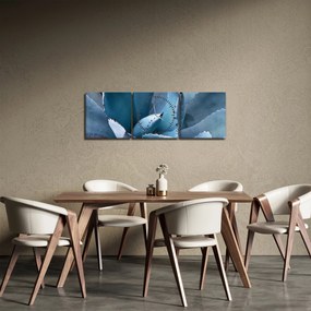 Kép - Agave (órával) (90x30 cm)