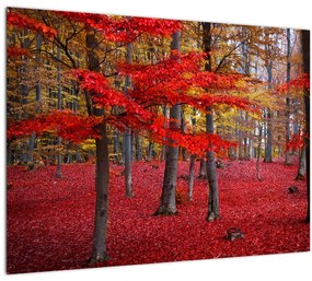 Kép - vörös erdő (üvegen) (70x50 cm)