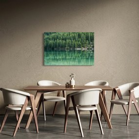 Kép - Tűlevelű a tónál (90x60 cm)