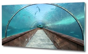 Üvegkép falra Az alagút akvárium osh-82197217