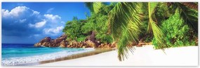Poszterek 200x66 Trópusok Tájkép Pálmafák