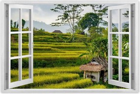 Poszterek 60x40 Tájkép Látvány