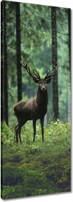 Vászonkép 40x100 Gyönyörű szarvas a fák között